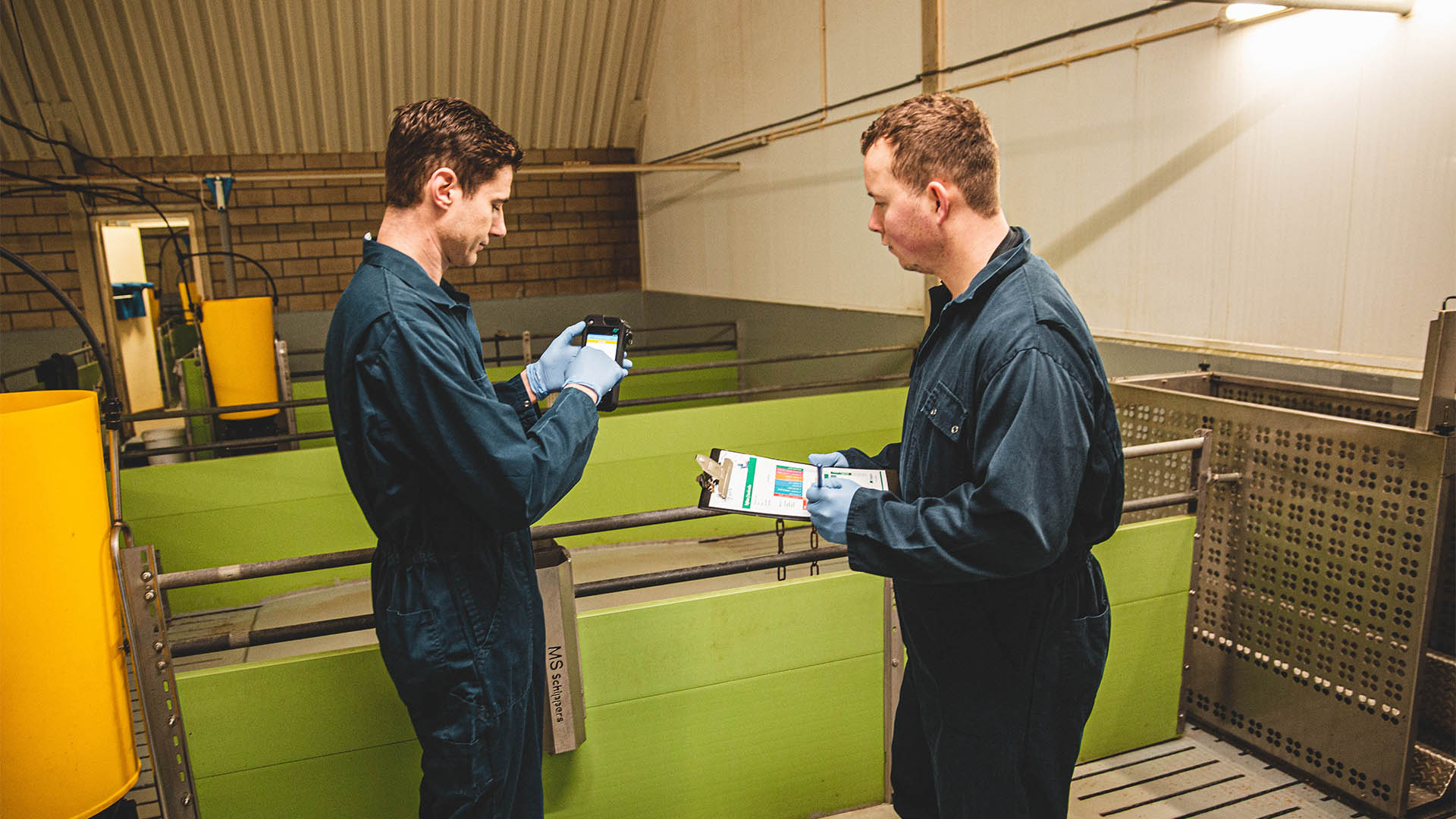 Hygiene specialist